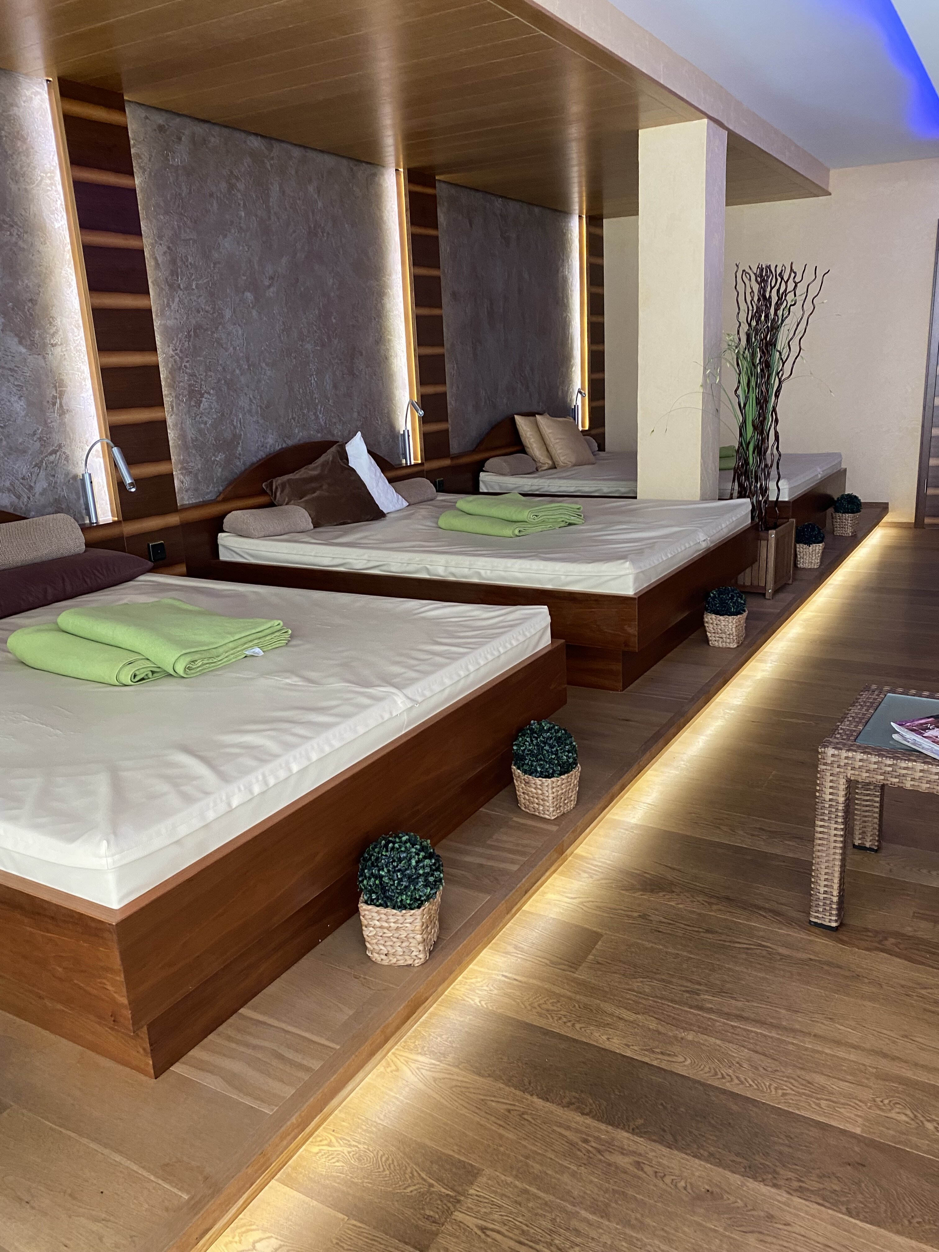 Hotel Langenwaldsee-泳池