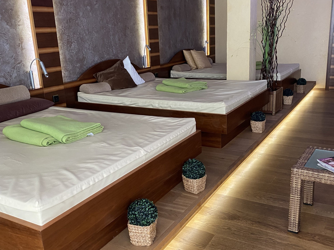 Hotel Langenwaldsee主图