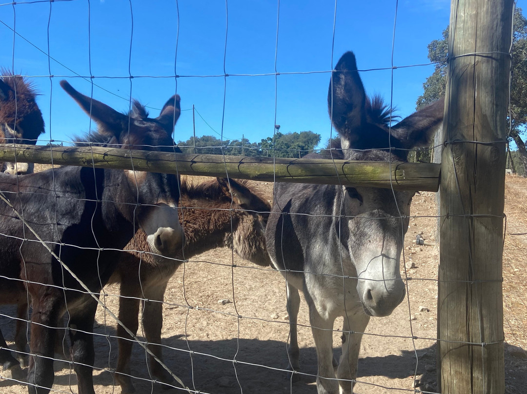 Herdade do Barrocal de Baixo主图