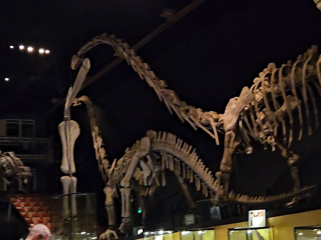 A World of Dinosaurs-卡尔马必去景点