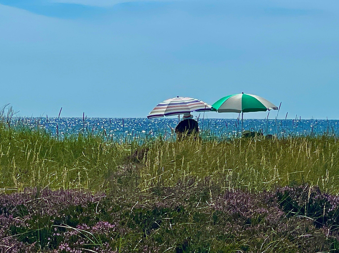 Sandhammarens Strand-Loderup必去景点