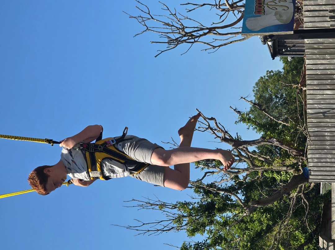 Knockhatch Adventure Park景点图片