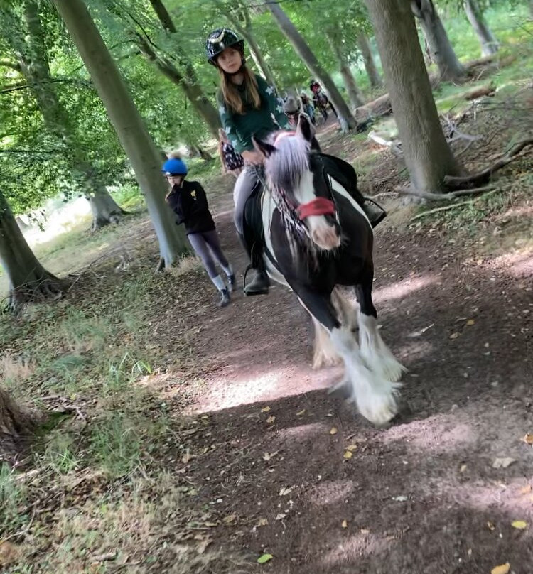 Pony Trekking Thetford Forest-Brandon必去景点