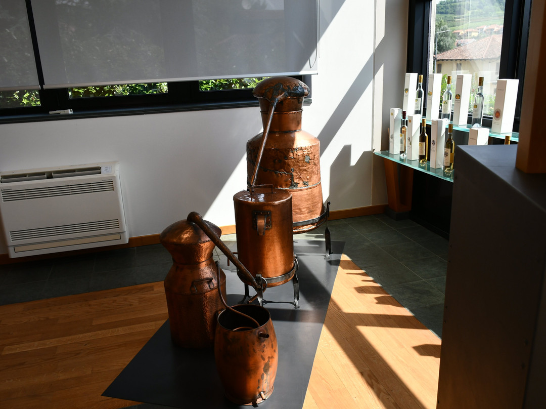 Distilleria Marolo-阿尔巴必去景点