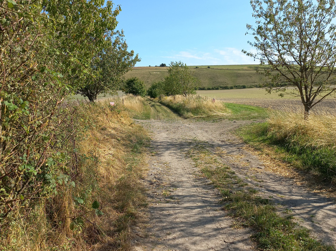 Pewsey White Horse景点图片