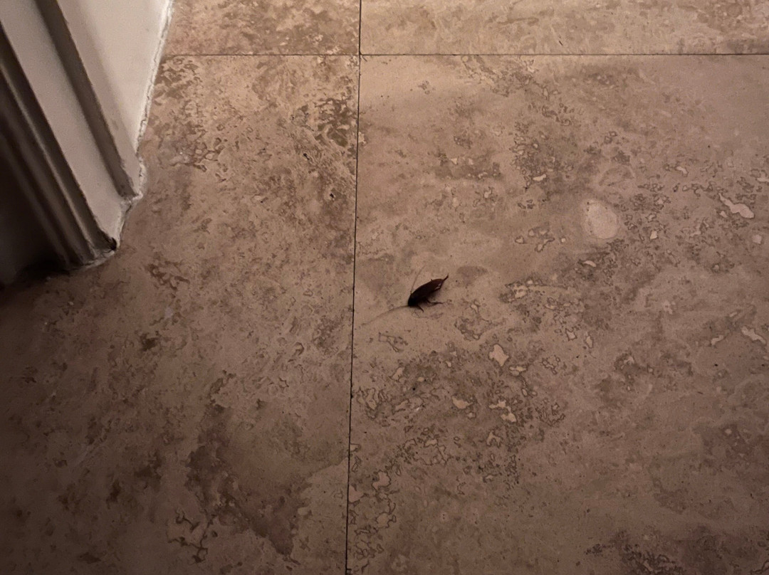 基韦斯特海滨万豪酒店主图