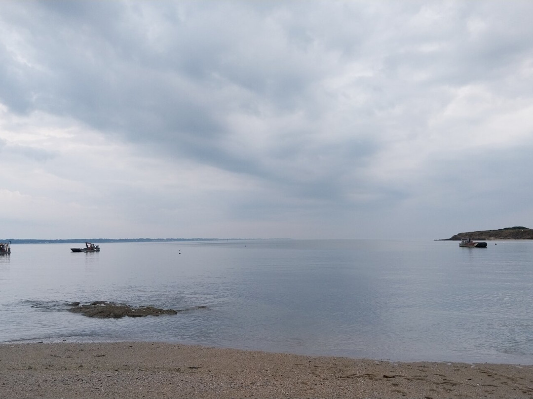 Pointe du Bile景点图片