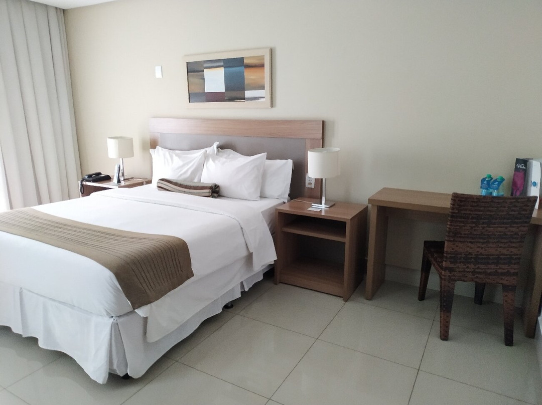 Plaza Inn Breeze Aeroporto主图