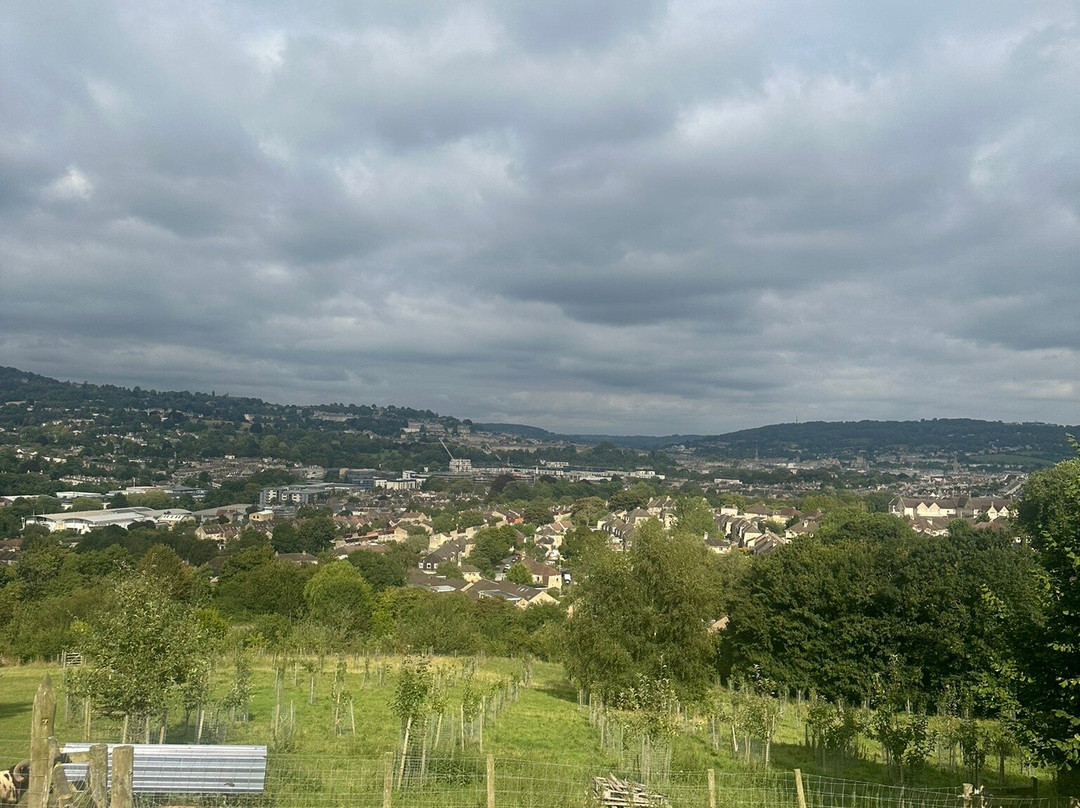 Bath City Farm景点图片