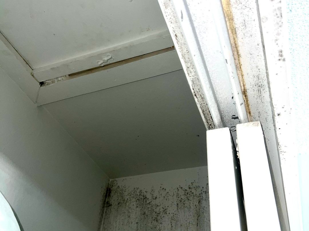 Sea Oats Beach Club主图