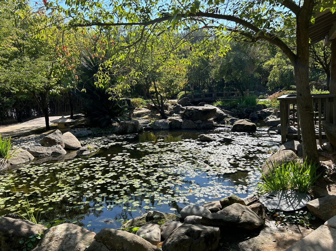Shinzen Japanese Garden-弗雷斯诺必去景点