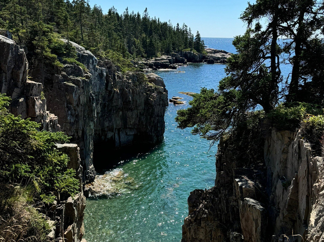 Sea Schoodic Kayak & Bike景点图片
