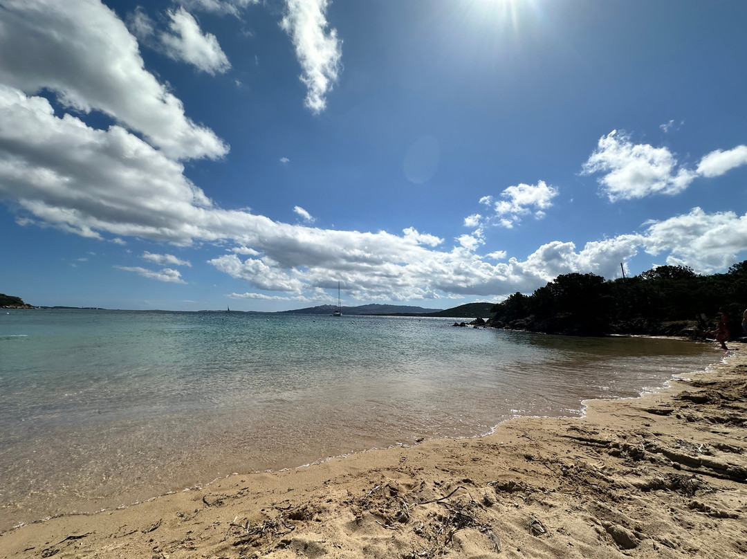 Spiaggia Porto Mannu-帕劳必去景点