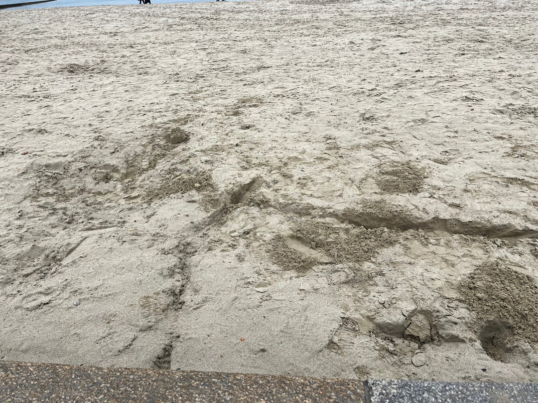 Lyme Regis Beach-莱姆里杰斯必去景点