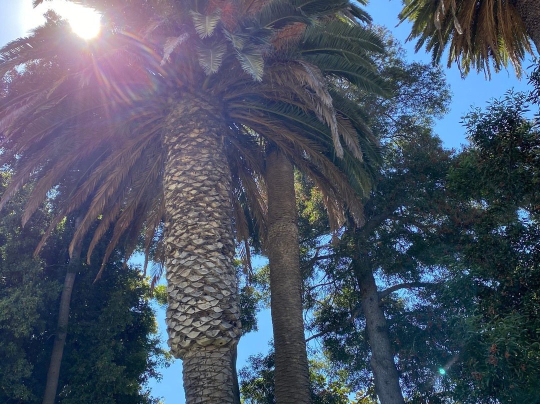 The Historic Santa Maria Inn主图