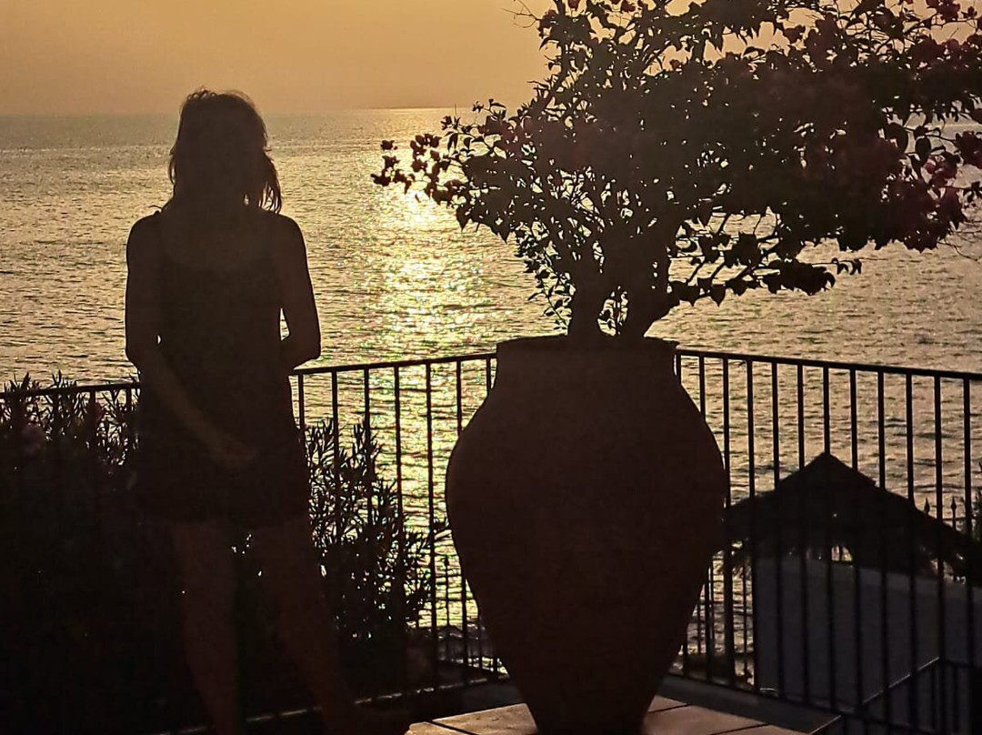 B&B Villa Addaura主图