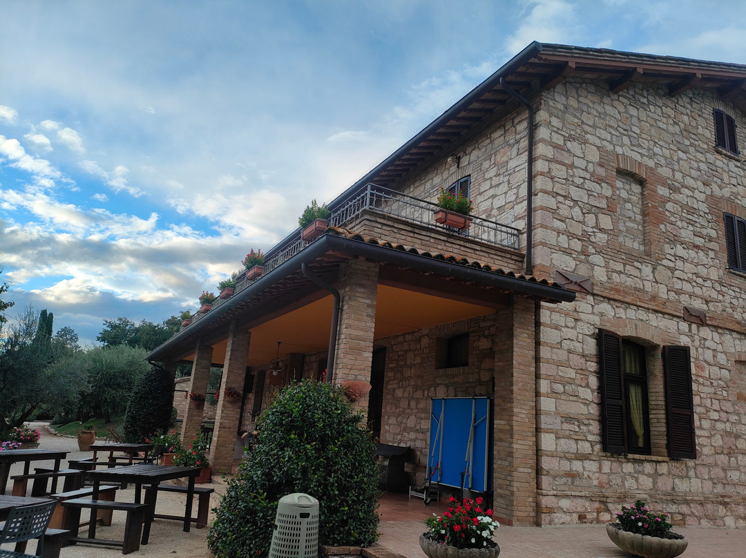 Agriturismo Il Giardino dei Ciliegi主图