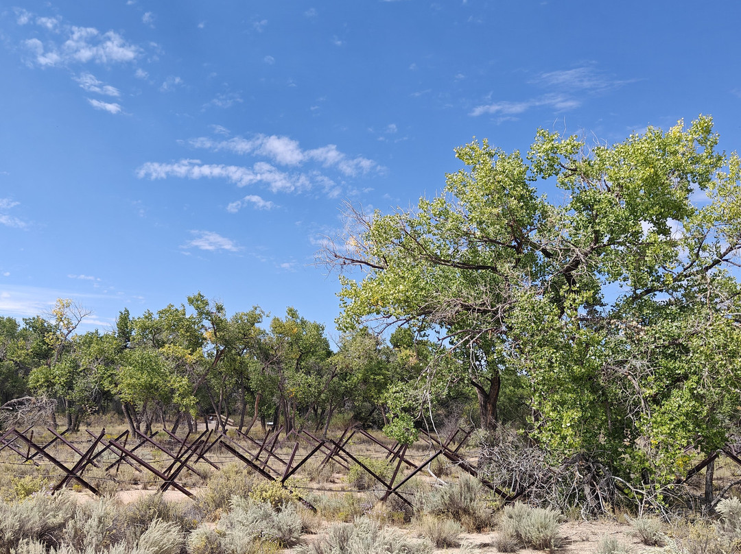 Rio Grande Nature Center State Park-阿尔伯克基必去景点