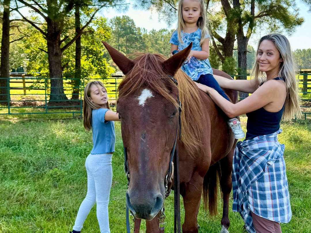 Desperado Horse Farm-Rocky Point必去景点