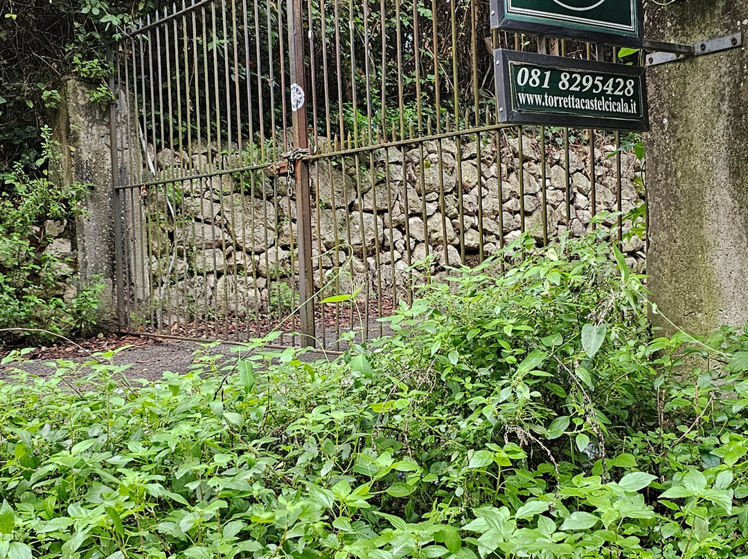 B&B Relais Castelcicala主图