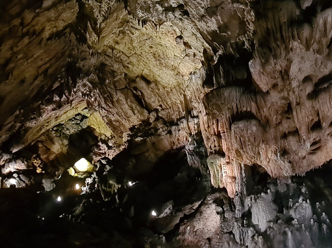 Grottes d'Osselle景点图片