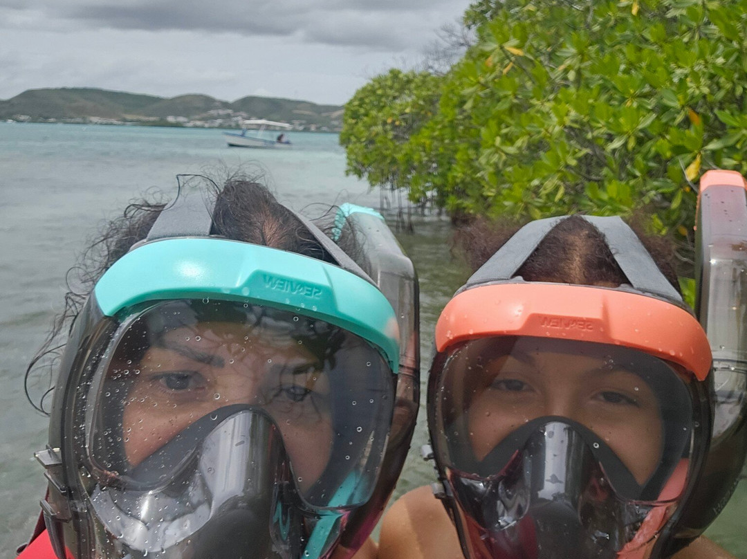 Aleli Tours - Day Tours-La Parguera必去景点