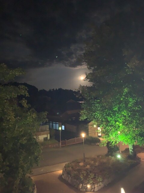 Romantik Hotel Waldschlösschen-官方