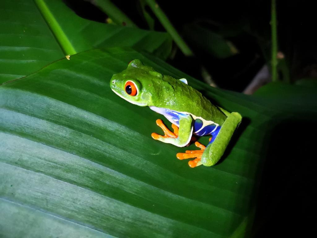 Guanacaste Adventure & Travel景点图片