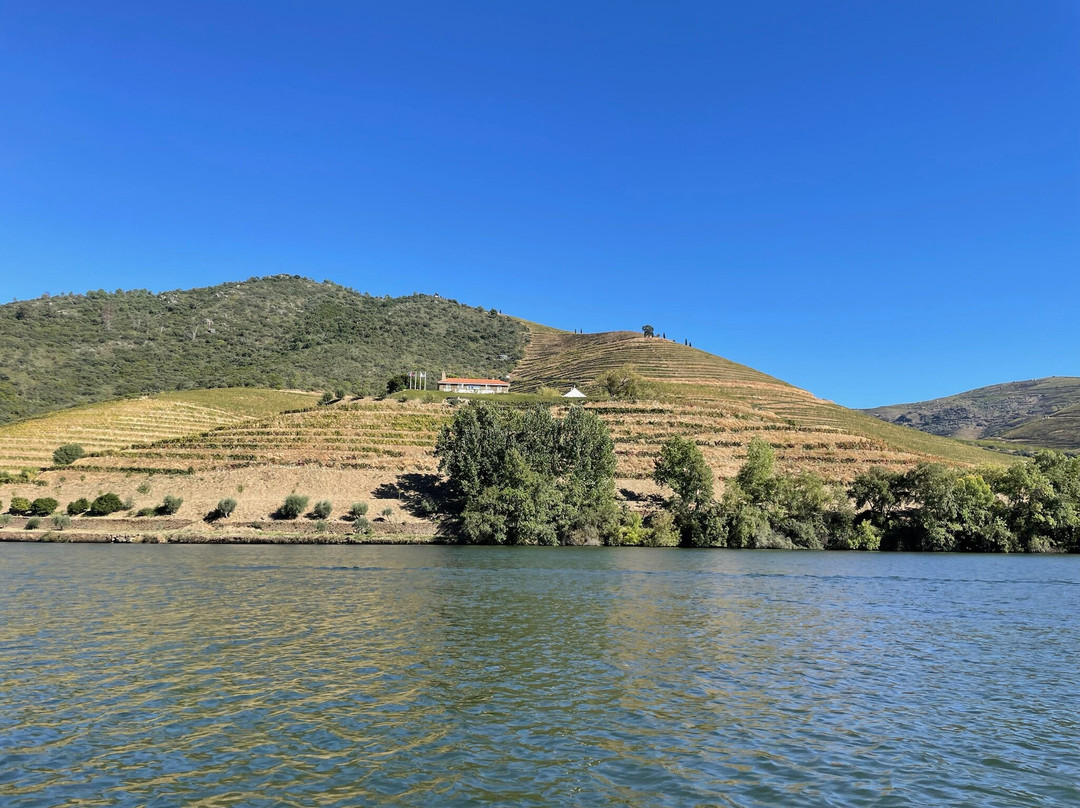 DWT - Douro Wine Tours-波尔图必去景点