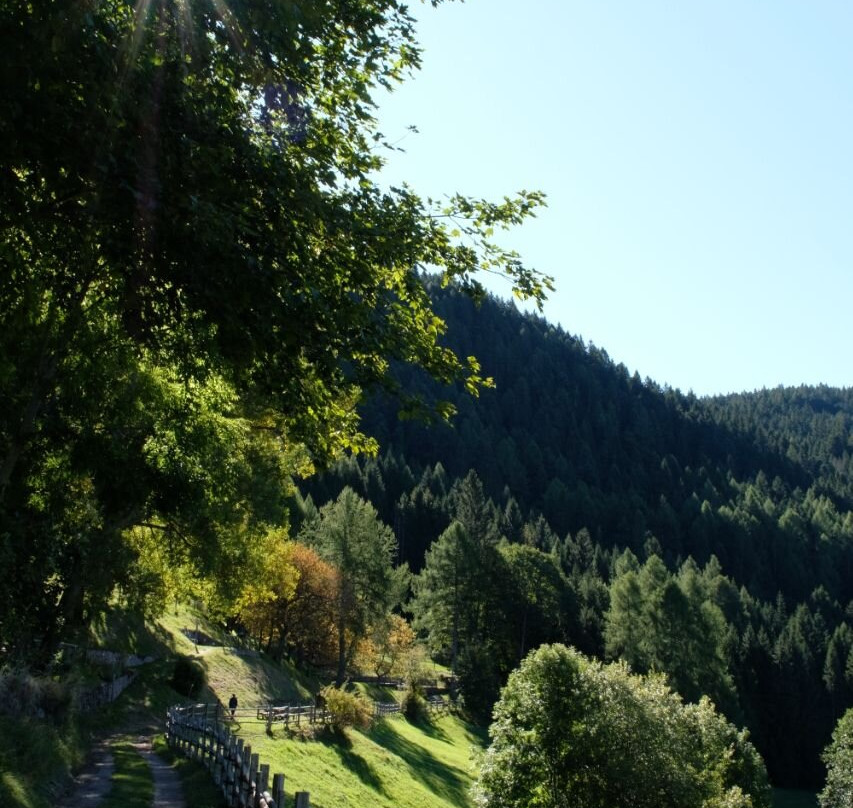 Gasthof Salurn主图