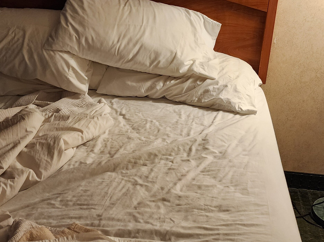 怀特河套房酒店主图