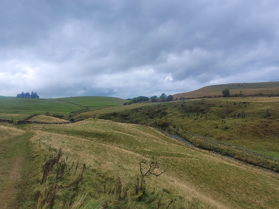 Smardale Gill Nature Reserve景点图片
