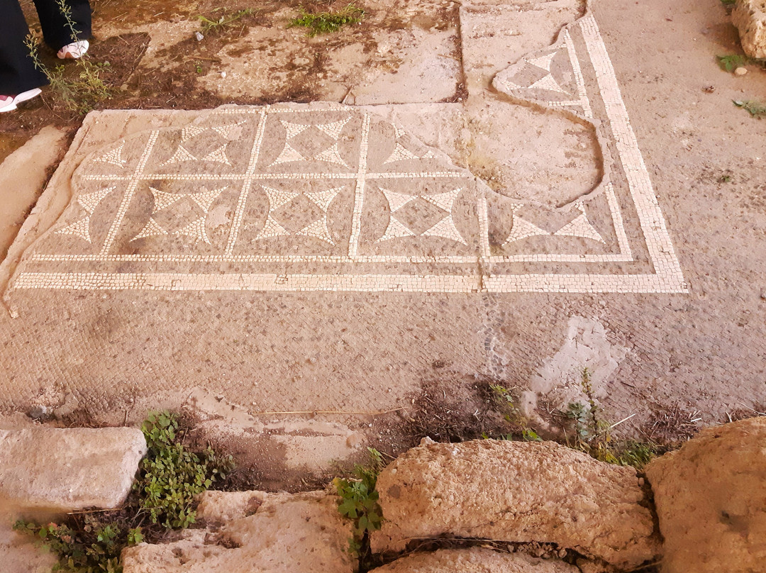 Area Archeologica di Poggio Moscini景点图片