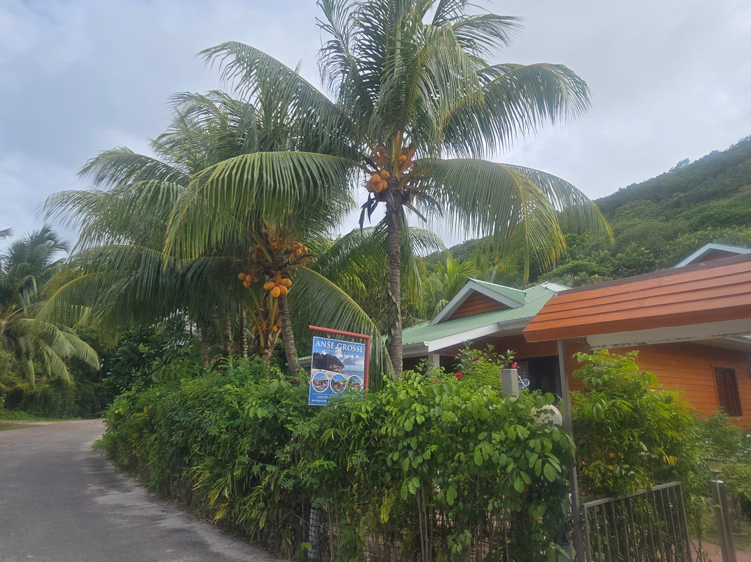 Anse Grosse Roche Beach景点图片