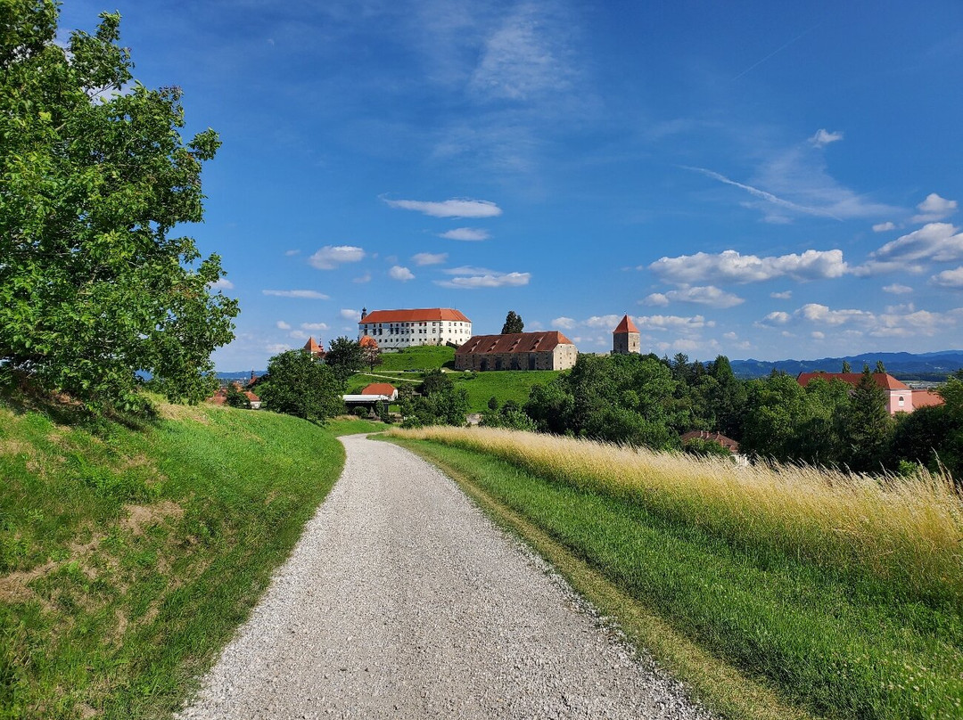 Panorama Metka Gutschi主图