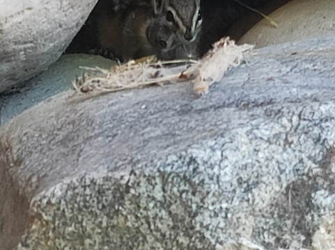 Eagle Bear Lodge主图