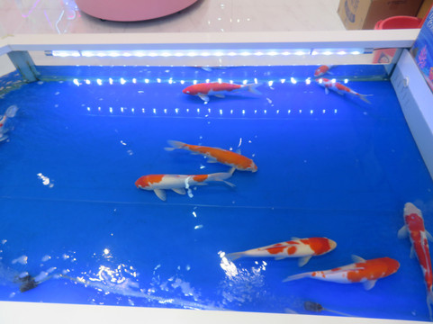 City On Shopping Center-郑州市必去景点