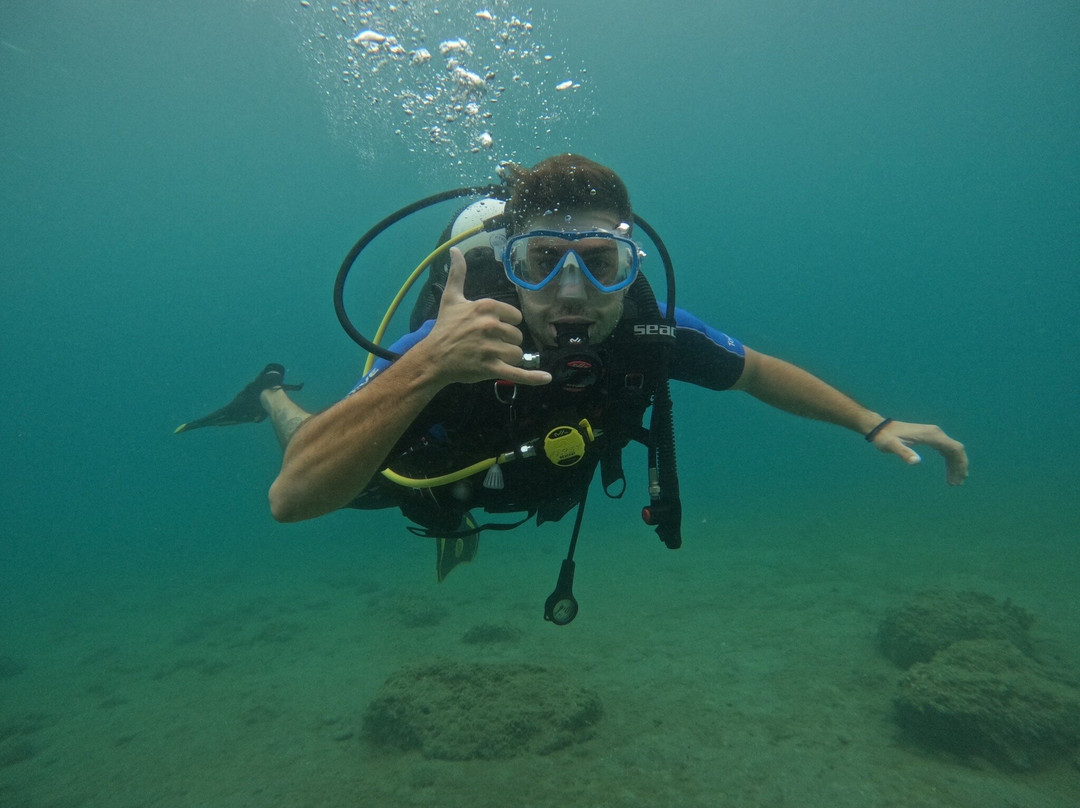 Argonauta Diving Resort景点图片