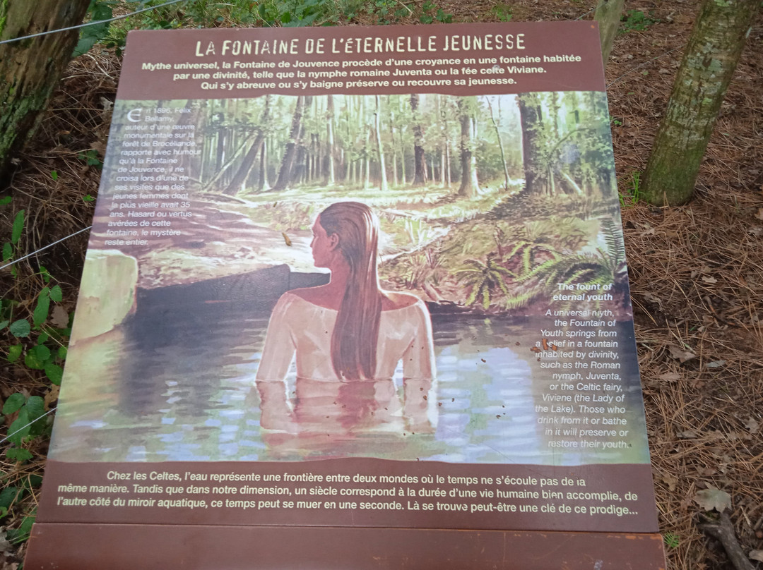 Tombeau de Merlin / Fontaine de Jouvence景点图片