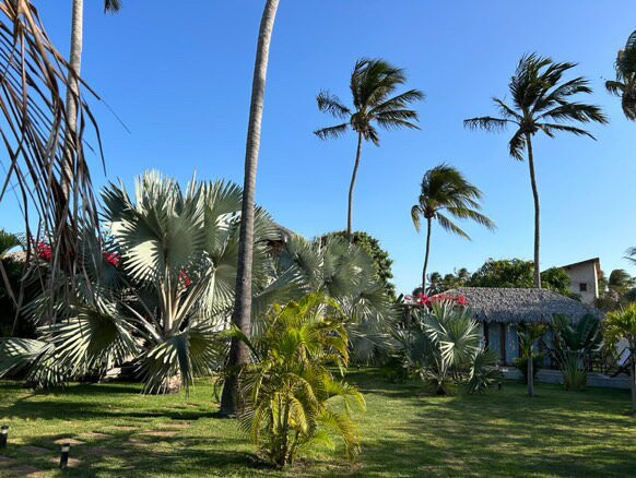 Tiki Pool's Bungalows