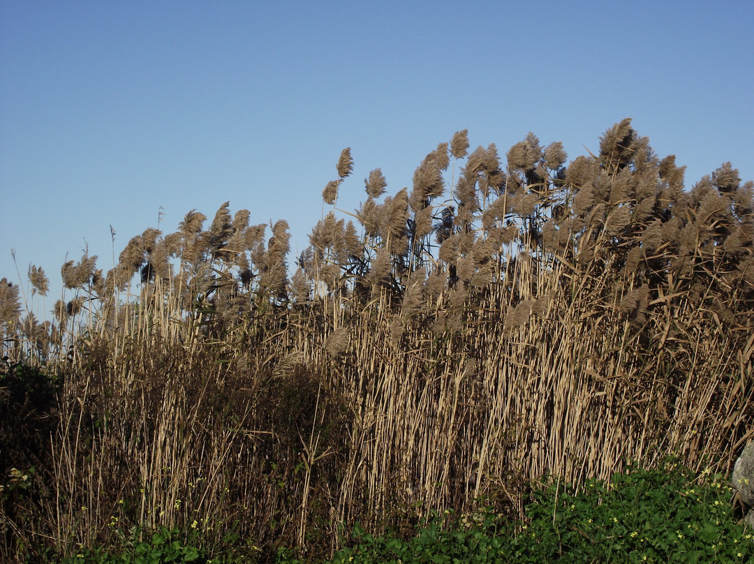 Rye Harbor State Park景点图片