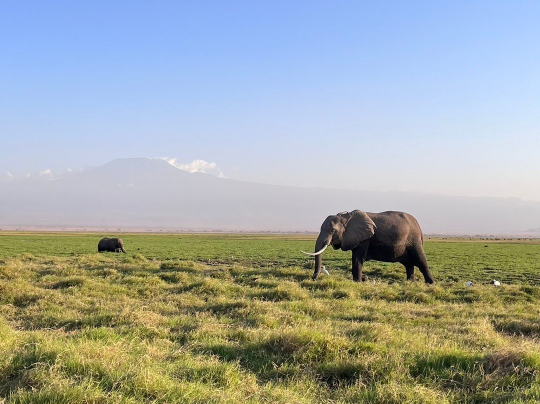 Muka Tours and Safaris-马林地必去景点