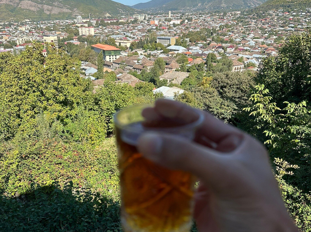 Sheki Panorama Guest House主图