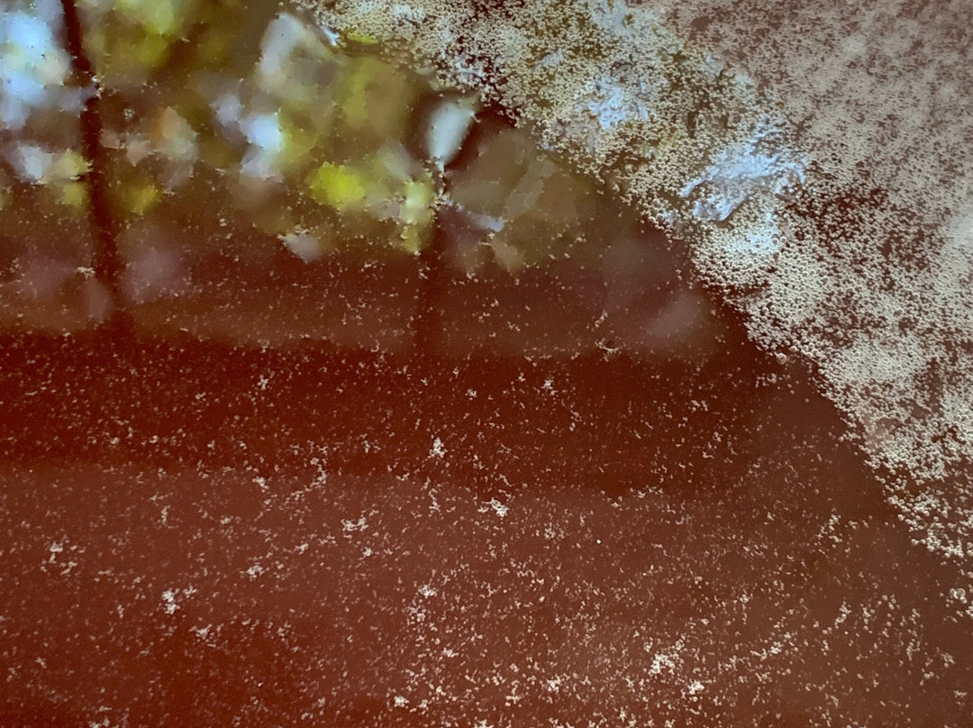 Microbrasserie Beauce & Perche-Courville-sur-Eure必去景点