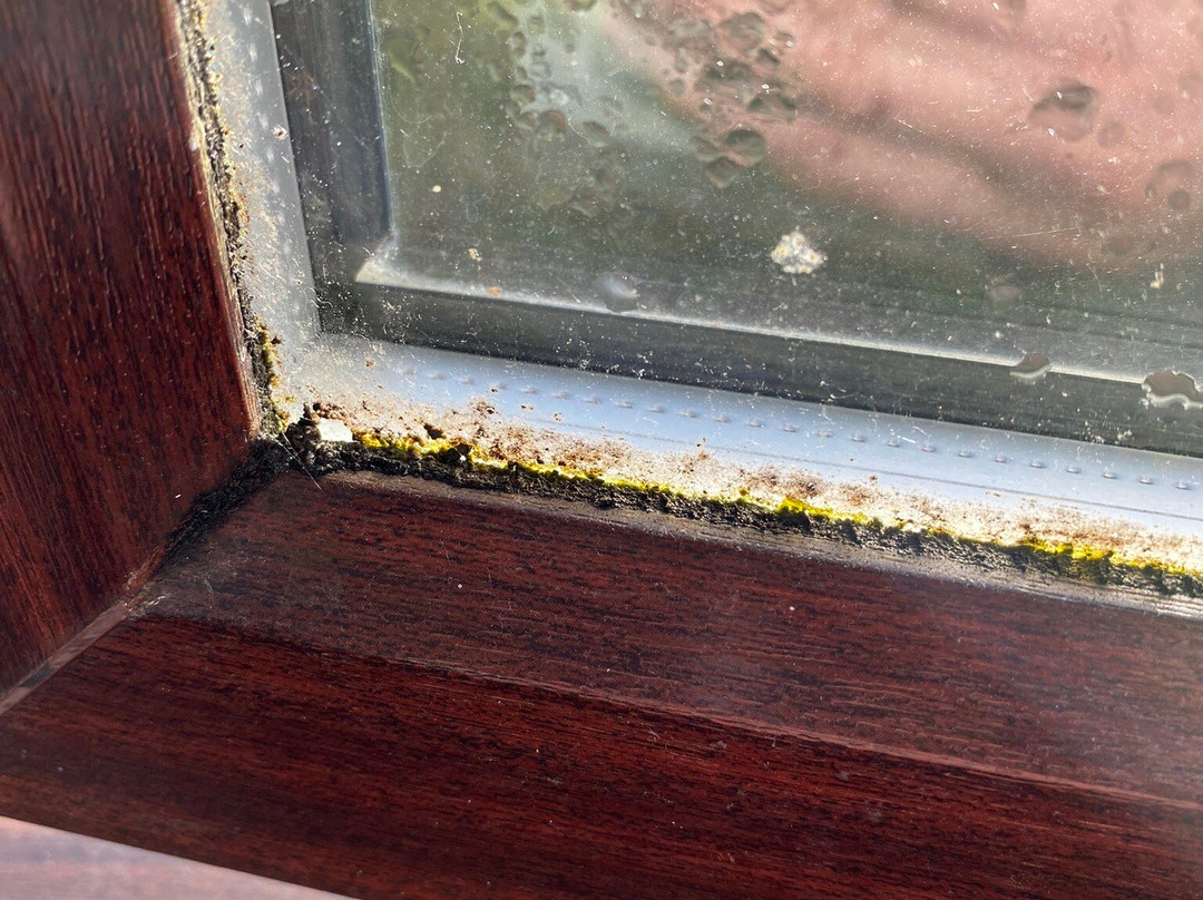 Travelodge Newcastle Seaton Burn主图