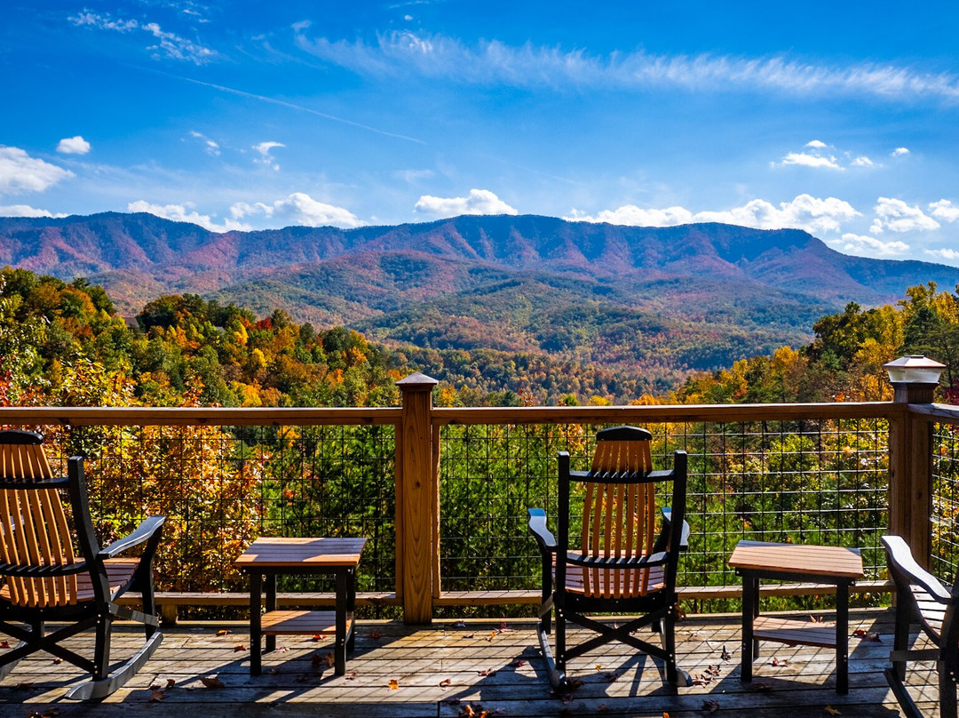 Parkside Cabin Rentals