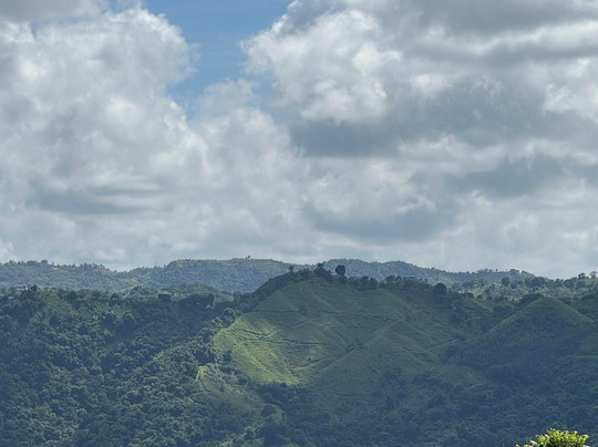 Sofrito Tours-波多黎各必去景点