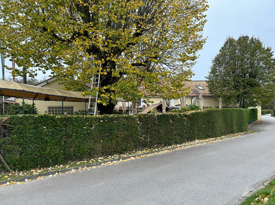 Auberge des Grands Bois主图