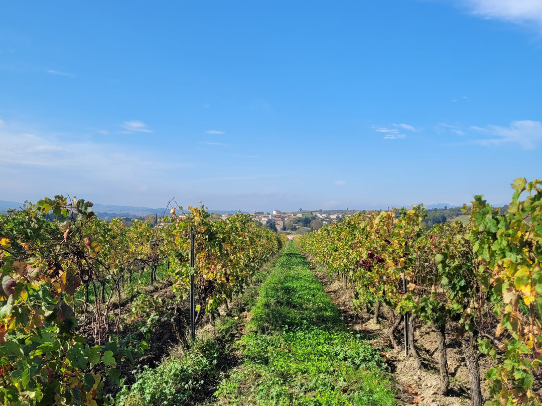 Domaine La Louviere-Malvies必去景点