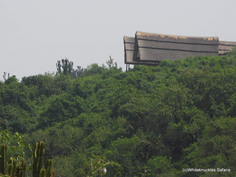 Mweya Safari Lodge主图